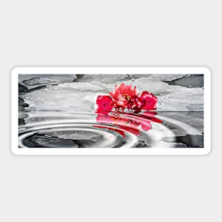 Snowy Flowers Reflections Sticker